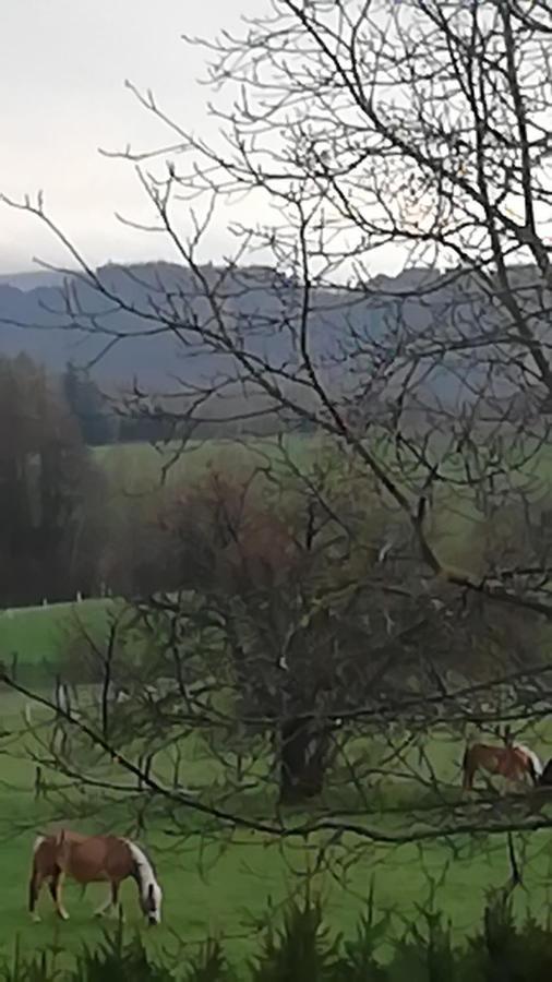 Lichtenhainer Hof Lichtenhain  Dış mekan fotoğraf